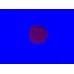 Флуоресцентный пигмент NEON (Сиреневый) 10г